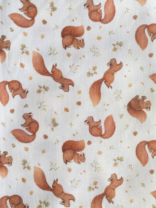 #9 Squirrel Cloth